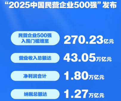 门槛高　赛道新　研发强——透视“2025中国民营企业500强”