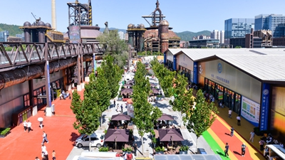 中国高水平对外开放生发全球经贸合作引力