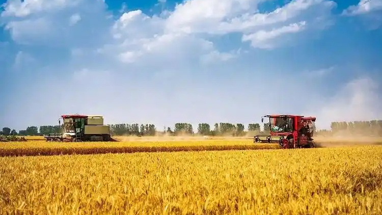 我国农业科技创新整体水平迈入世界第一方阵