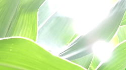 连续十四年践行“国之栋梁”助学承诺