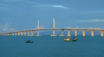 粤港澳大湾区迎来客流高峰