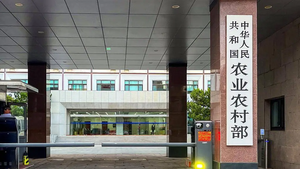 农业农村部组织开展小麦抗湿晚播培训月活动