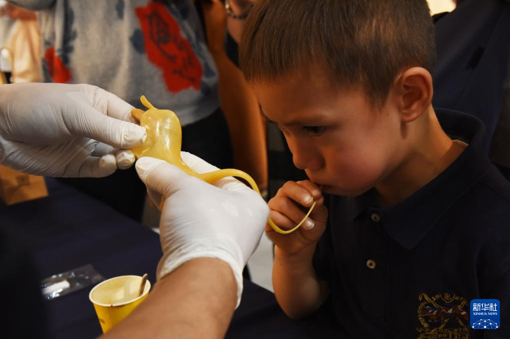 河北文化交流活动走进荷兰海牙