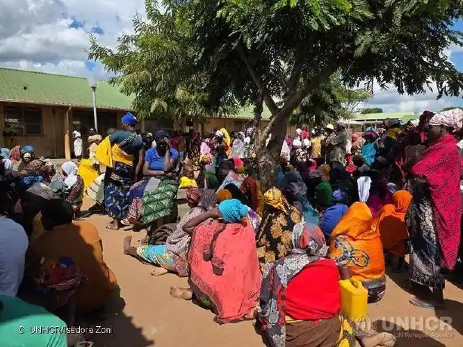 联合国难民署：莫桑比克北部冲突蔓延 两周新增近10万流离失所者