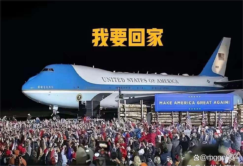 教育部：2024年留学回国49.5万人 同比增长19.1%