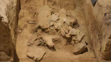 秦兵马俑考古新发现：二号坑发掘出土两乘战车