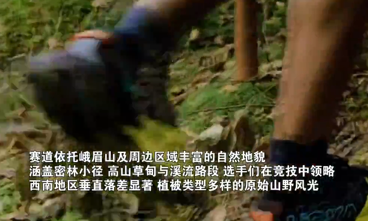 文体旅融合 两千余名跑者探秘峨眉山野